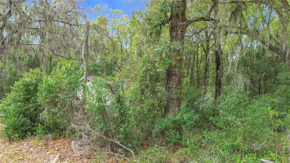 10160 SE 49TH COURT Belleview, FL 34420