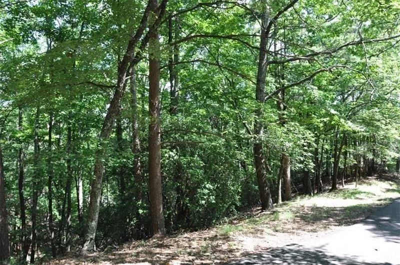 64 Wrens Nest Big Canoe, GA 30143