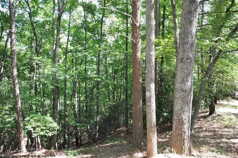 64 Wrens Nest Big Canoe, GA 30143
