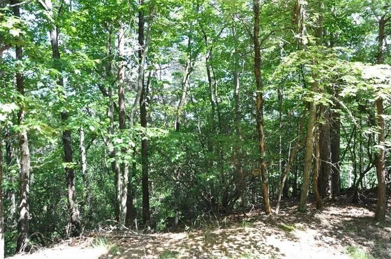 64 Wrens Nest Big Canoe, GA 30143