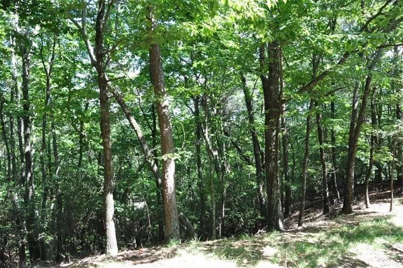 64 Wrens Nest Big Canoe, GA 30143
