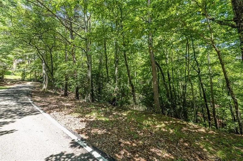 64 Wrens Nest Big Canoe, GA 30143