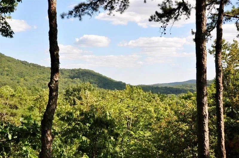 64 Wrens Nest Big Canoe, GA 30143
