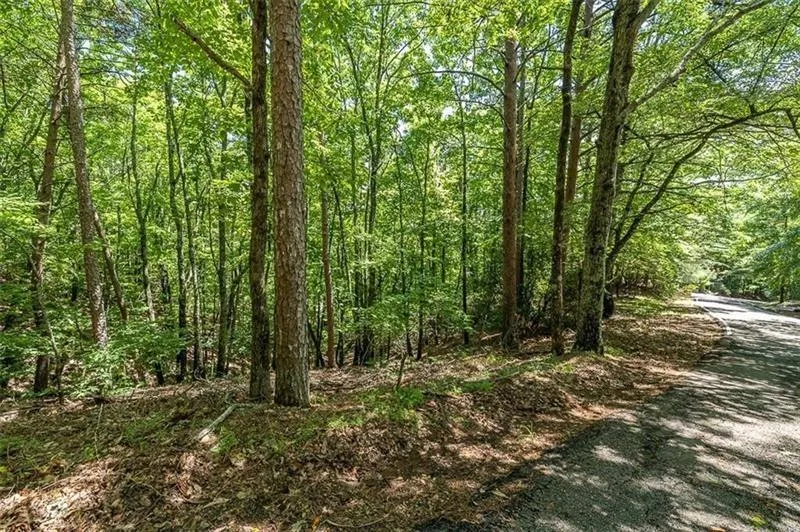 64 Wrens Nest Big Canoe, GA 30143