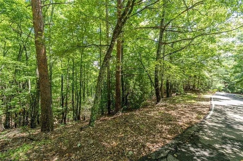 64 Wrens Nest Big Canoe, GA 30143