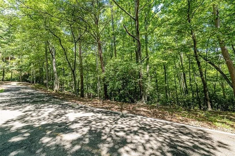 64 Wrens Nest Big Canoe, GA 30143