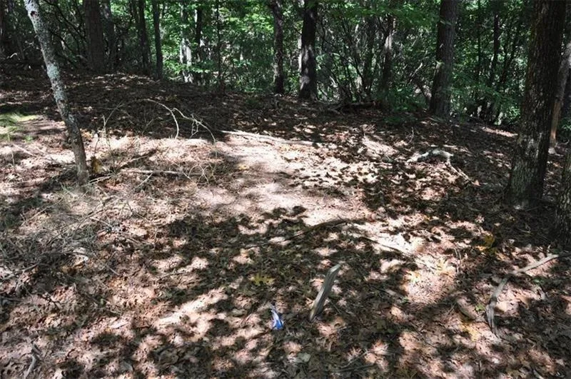 64 Wrens Nest Big Canoe, GA 30143