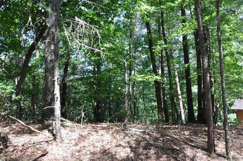 64 Wrens Nest Big Canoe, GA 30143