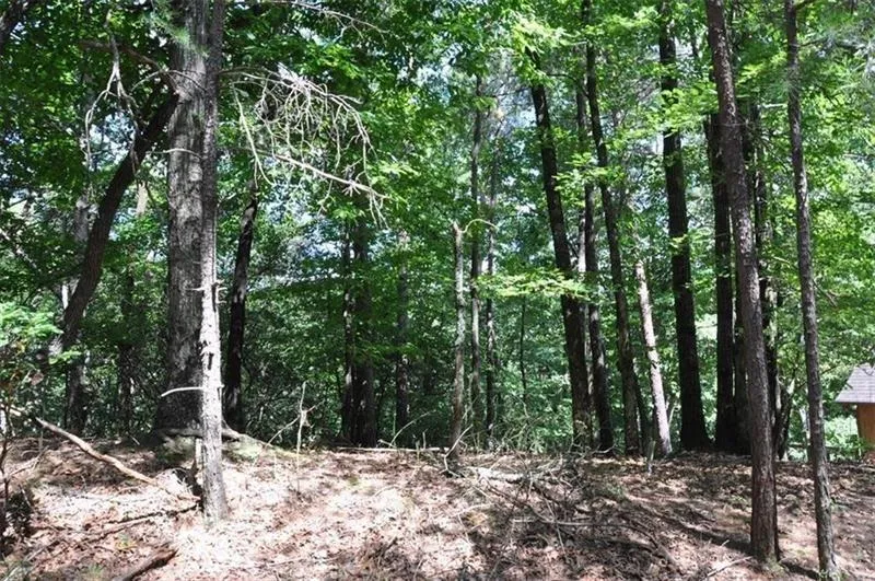 64 Wrens Nest Big Canoe, GA 30143