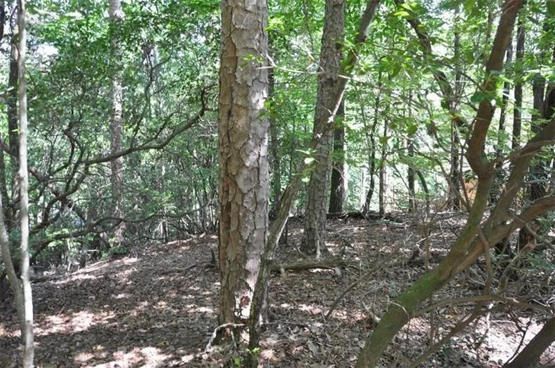 64 Wrens Nest Big Canoe, GA 30143