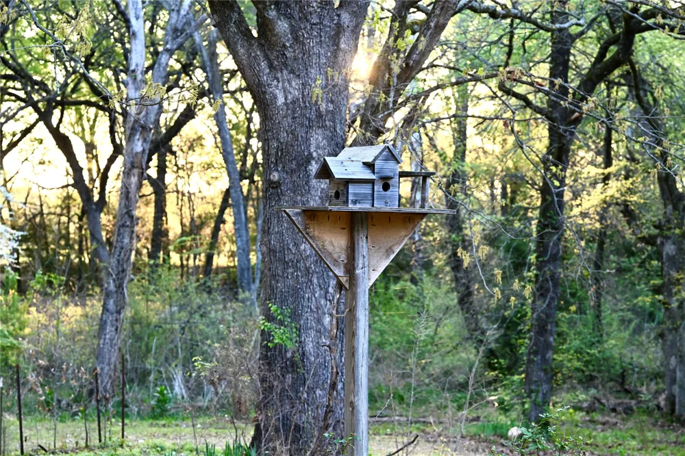 2211 Fm 2029 Telephone, TX 75488