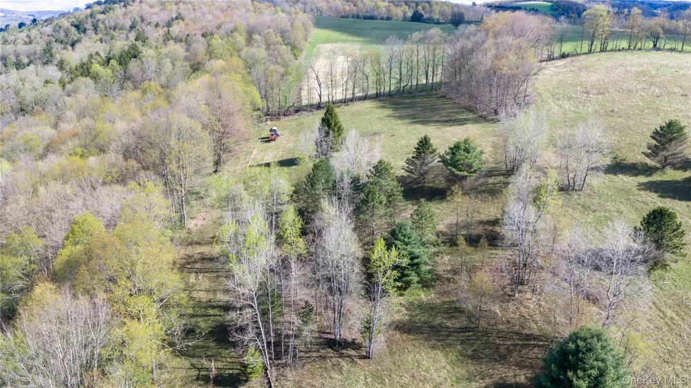 7779 South Hamilton Other, NY 13332