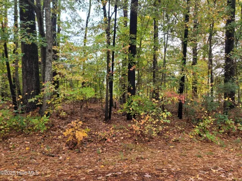 Lot #17 Dogwood Trail