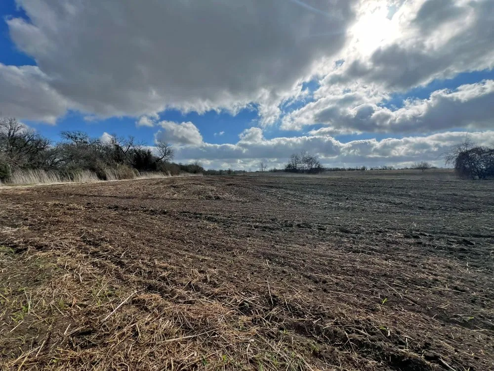 County Road 196 Georgetown, TX 78626