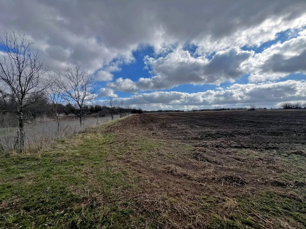 County Road 196 Georgetown, TX 78626