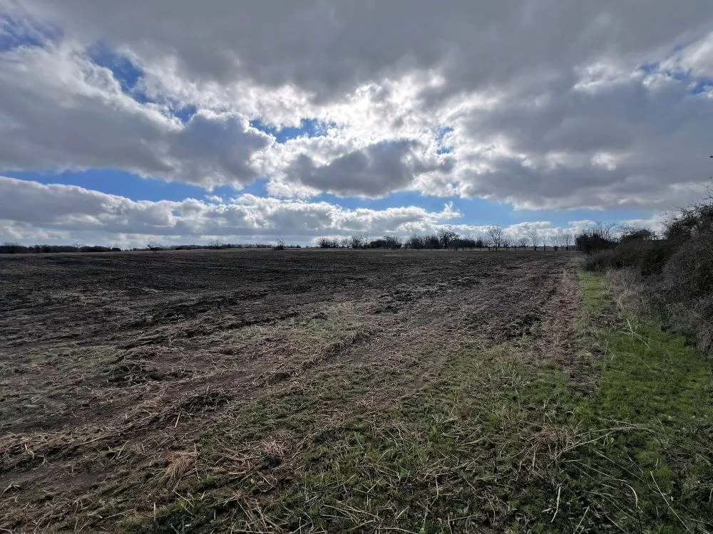 County Road 196 Georgetown, TX 78626