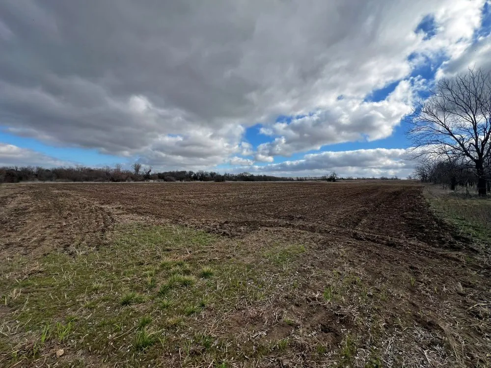 County Road 196 Georgetown, TX 78626