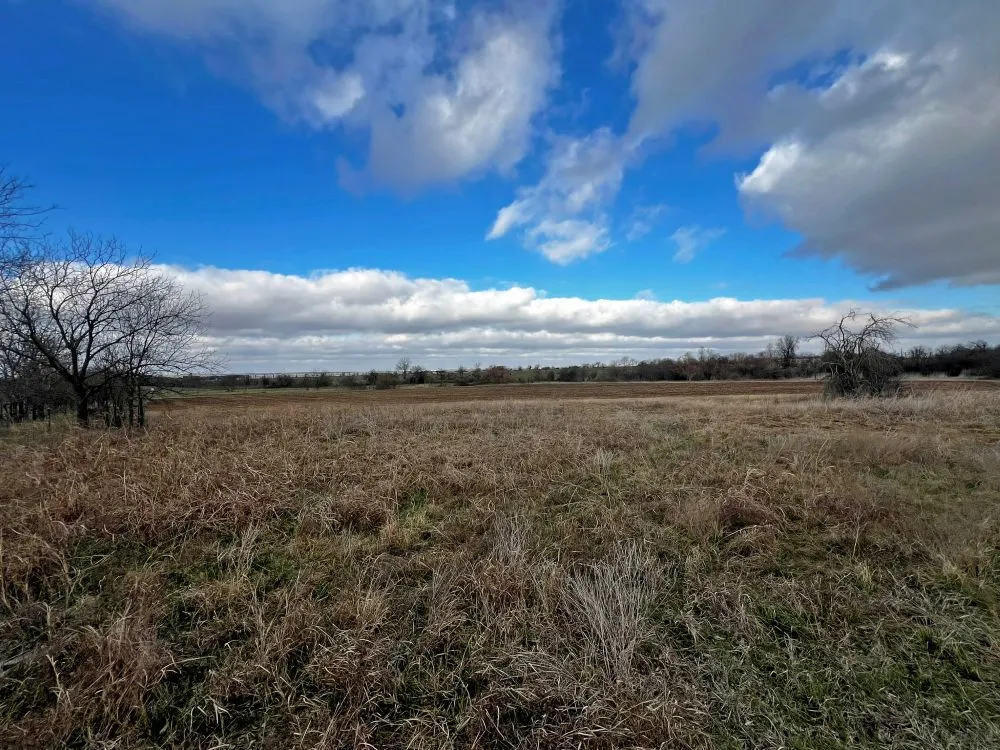 County Road 196 Georgetown, TX 78626