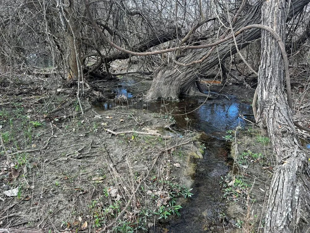 County Road 196 Georgetown, TX 78626