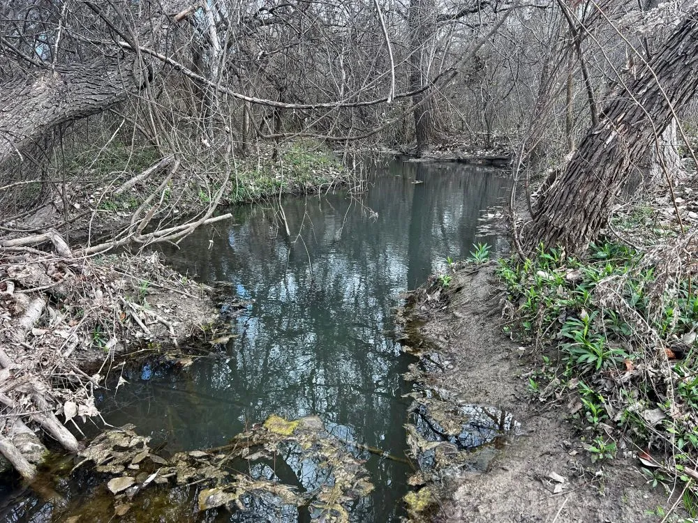 County Road 196 Georgetown, TX 78626