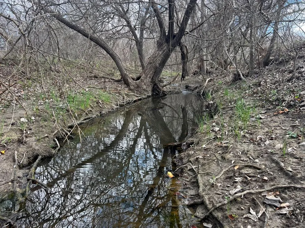 County Road 196 Georgetown, TX 78626