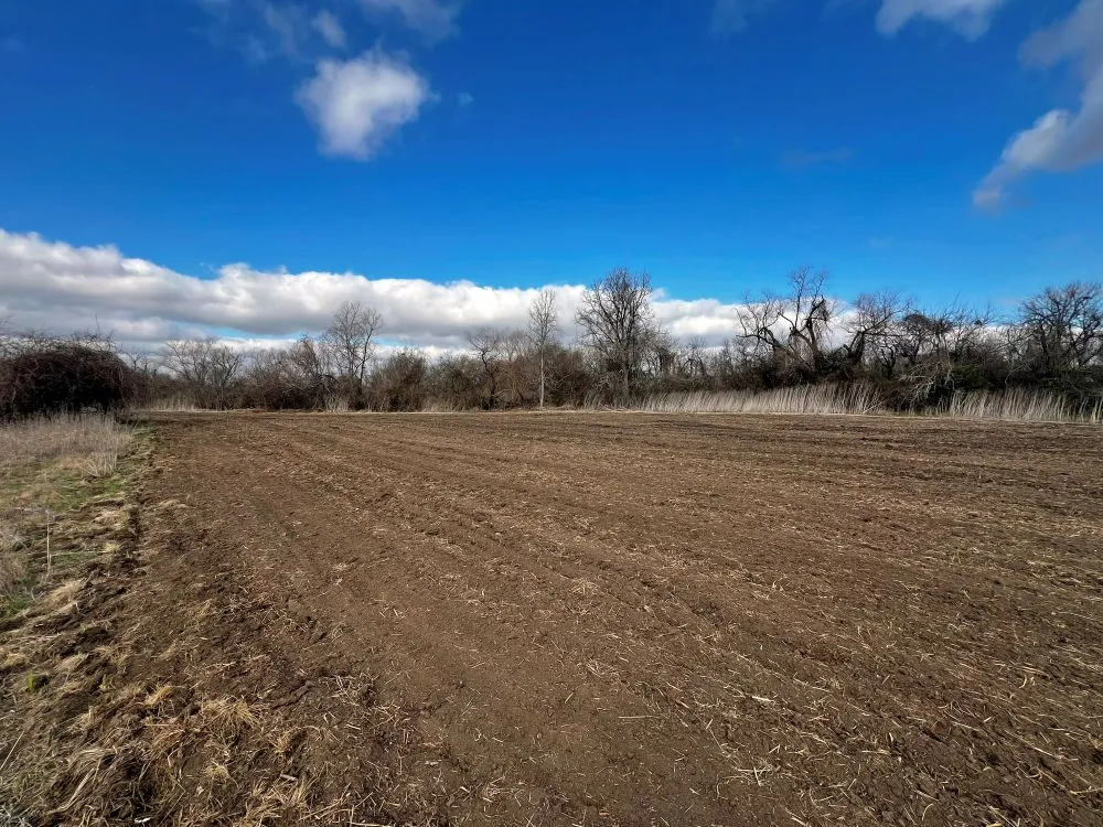 County Road 196 Georgetown, TX 78626