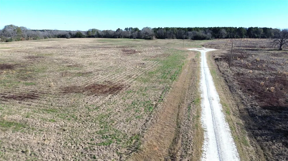 1475 Southfield Trail Lovelady, TX 75851