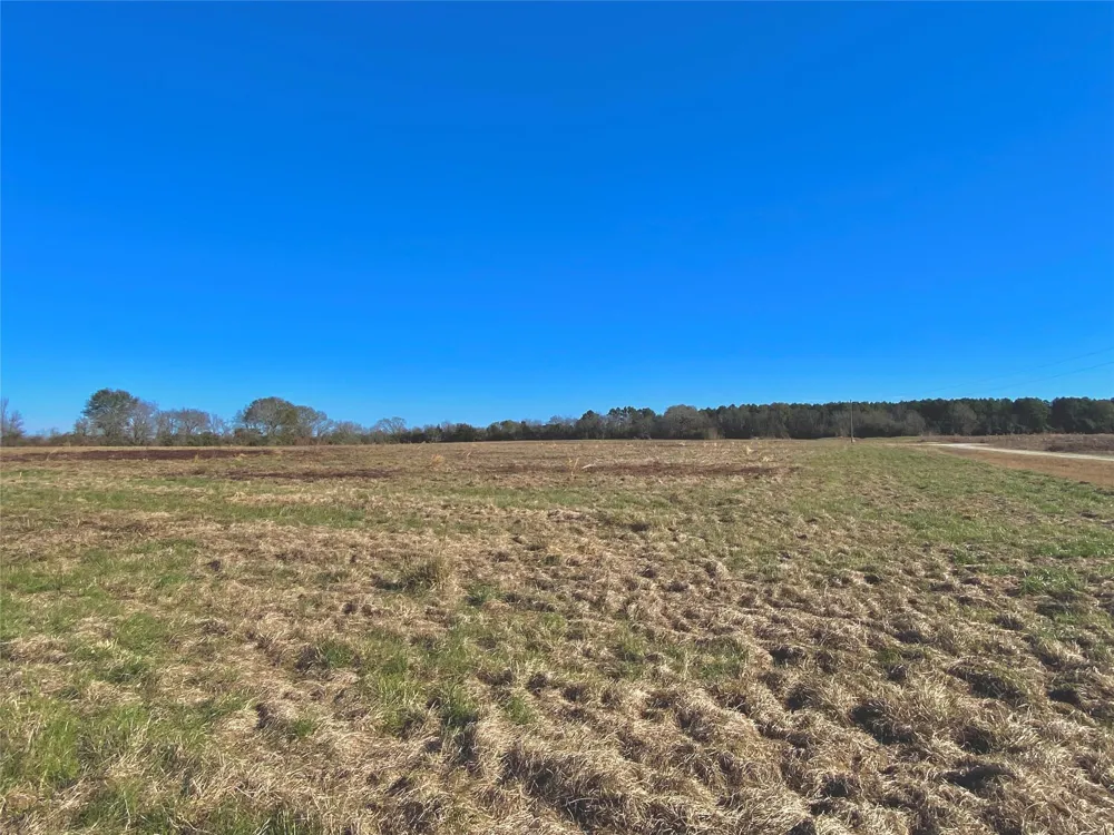 1475 Southfield Trail Lovelady, TX 75851