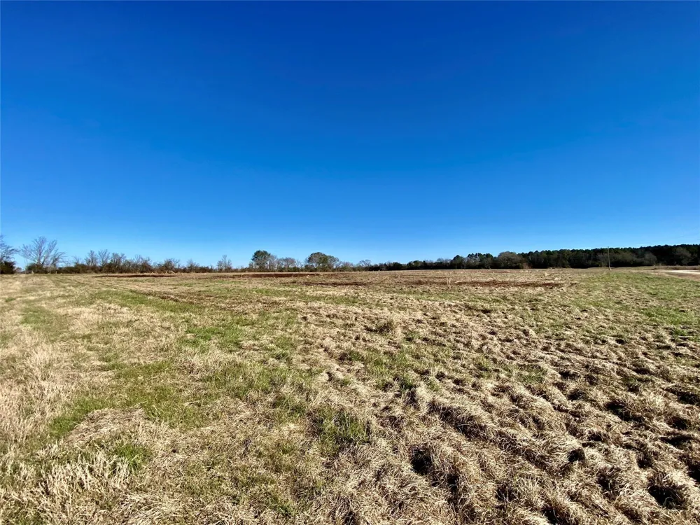 1475 Southfield Trail Lovelady, TX 75851