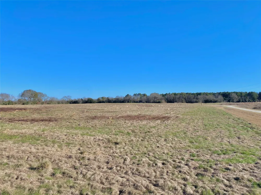 1475 Southfield Trail Lovelady, TX 75851