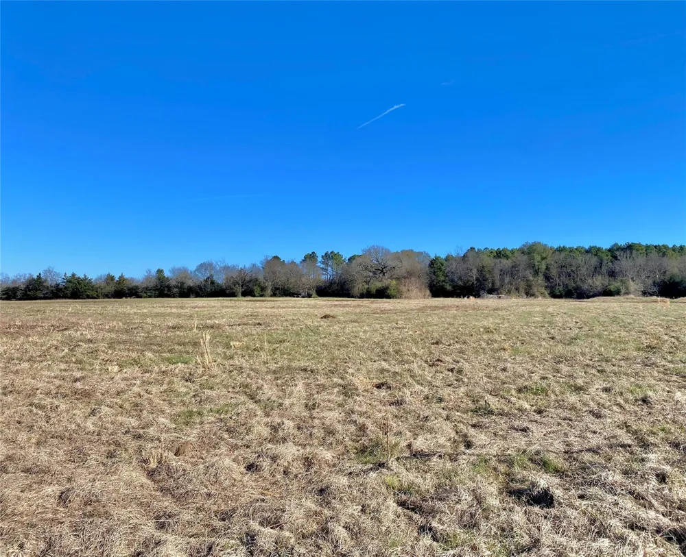 1475 Southfield Trail Lovelady, TX 75851