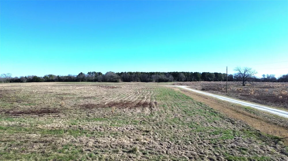 1475 Southfield Trail Lovelady, TX 75851
