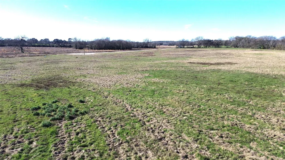 1475 Southfield Trail Lovelady, TX 75851