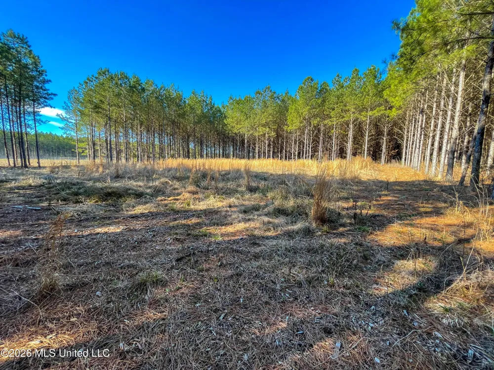 609 Barker Road Morton, MS 39117