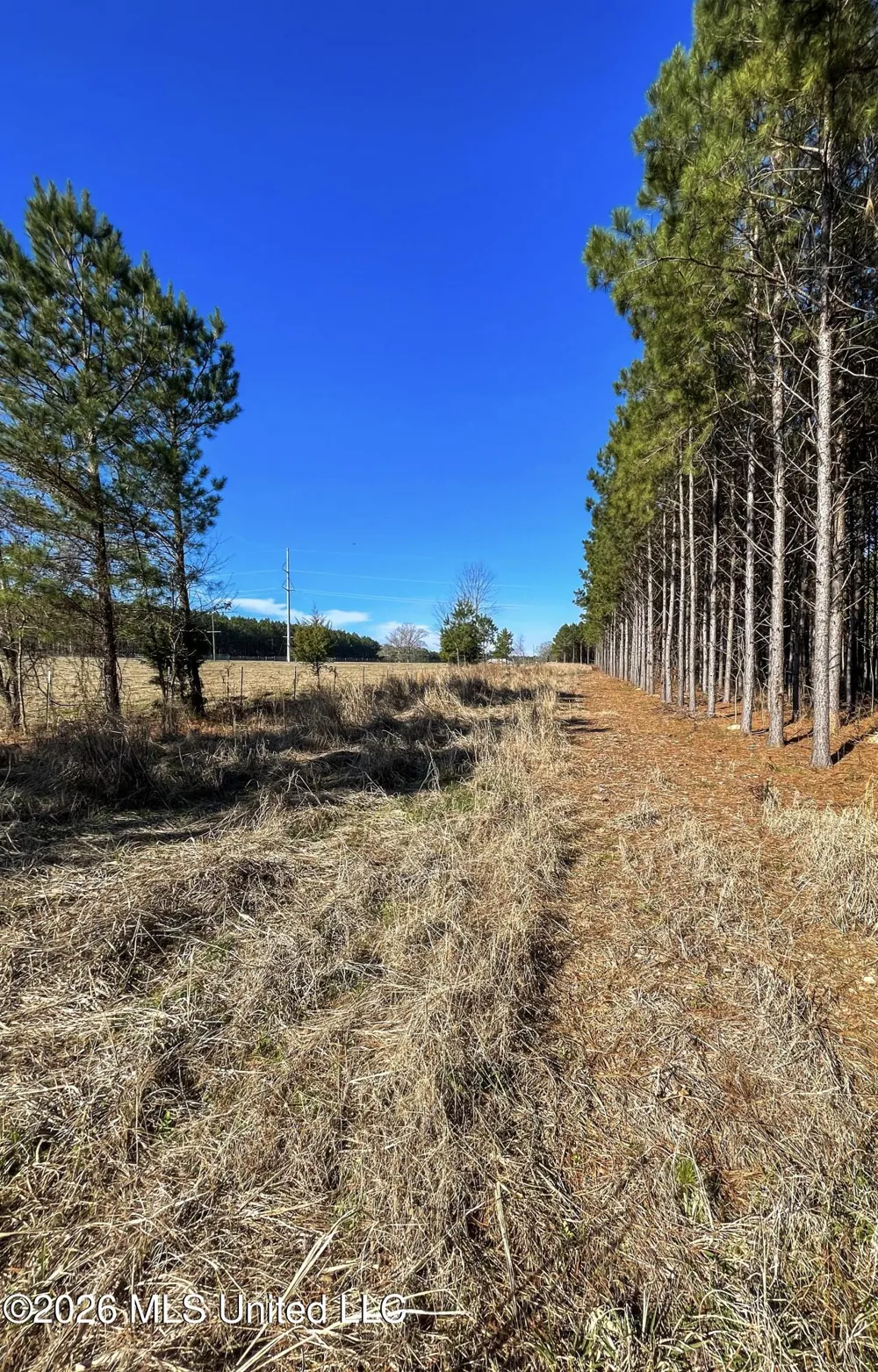 609 Barker Road Morton, MS 39117