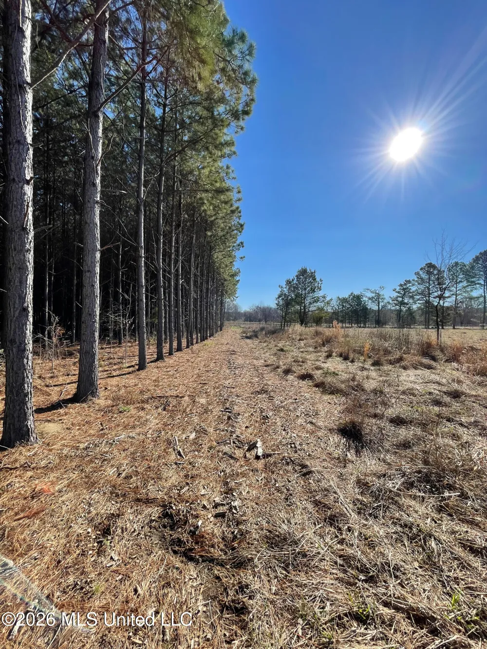 609 Barker Road Morton, MS 39117