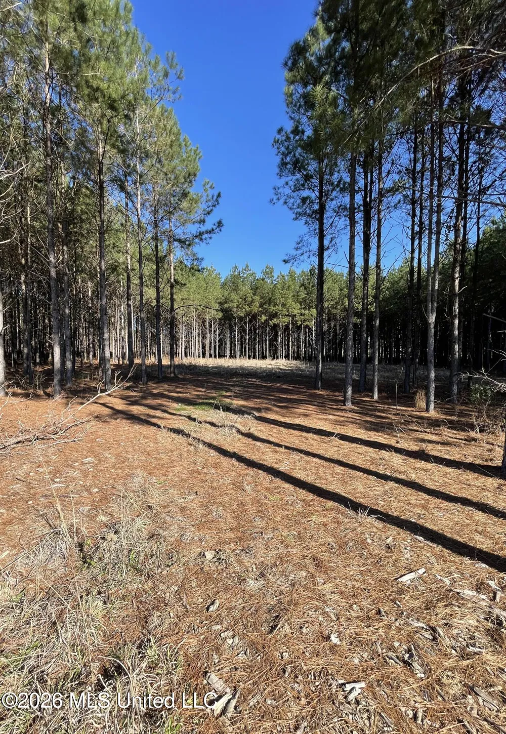 609 Barker Road Morton, MS 39117