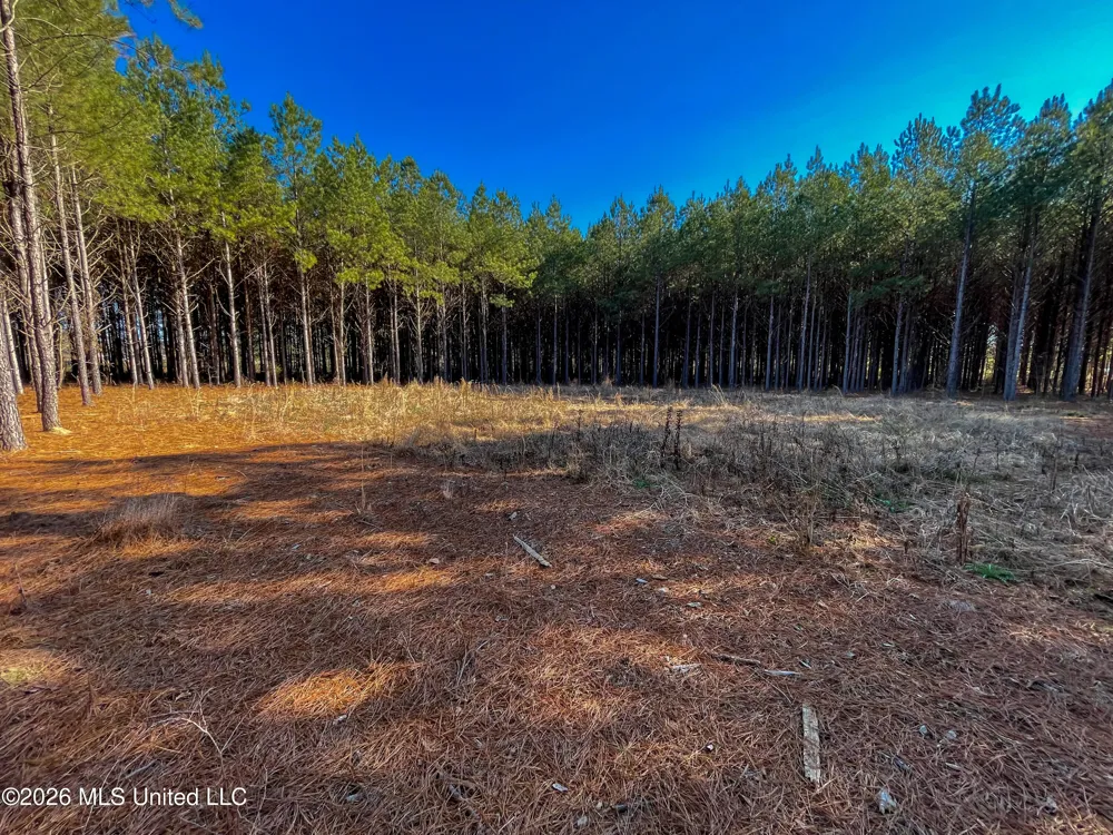 609 Barker Road Morton, MS 39117