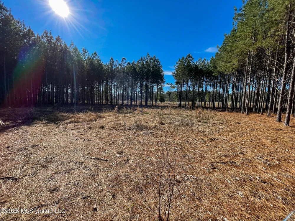 609 Barker Road Morton, MS 39117