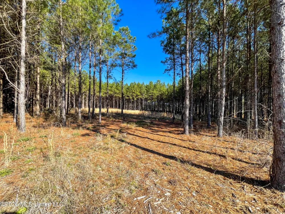 609 Barker Road Morton, MS 39117