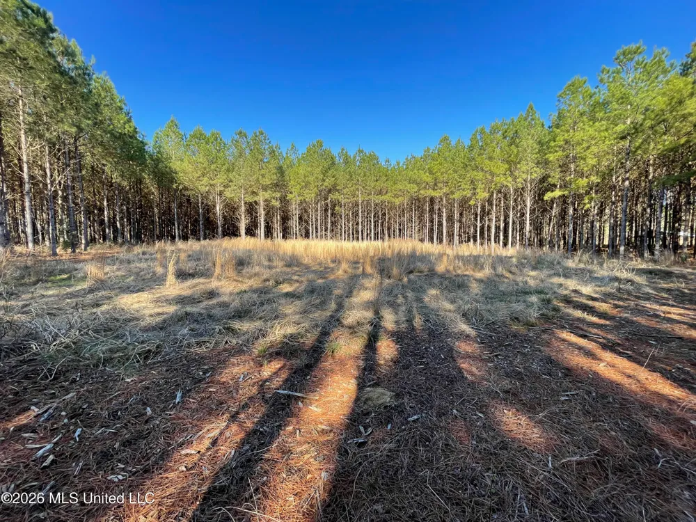 609 Barker Road Morton, MS 39117