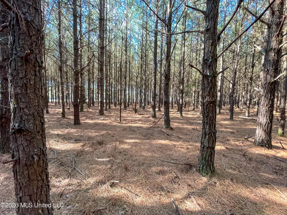 609 Barker Road Morton, MS 39117