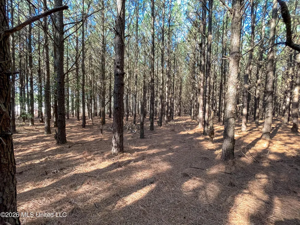 609 Barker Road Morton, MS 39117