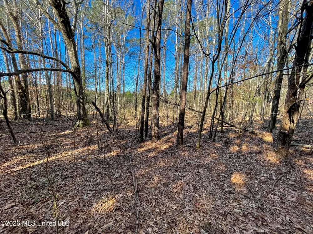 609 Barker Road Morton, MS 39117