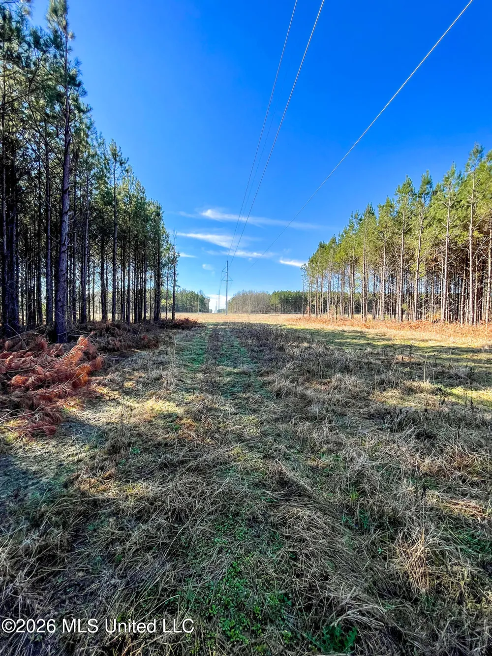 609 Barker Road Morton, MS 39117