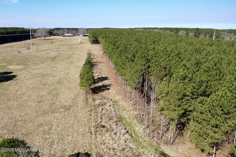 609 Barker Road Morton, MS 39117