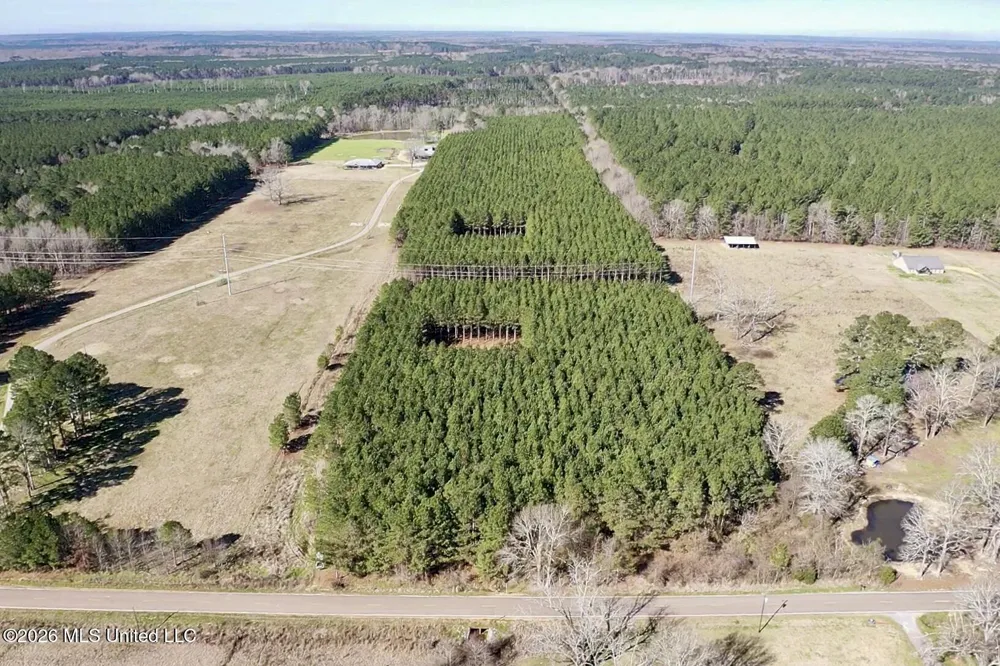609 Barker Road Morton, MS 39117