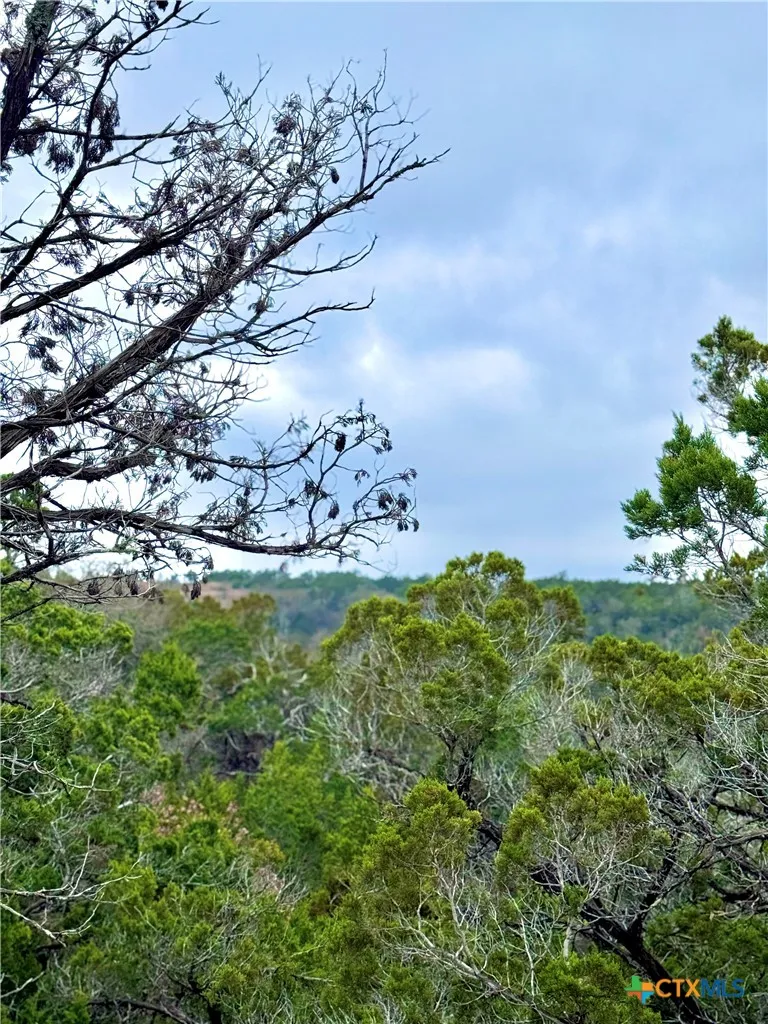 424 Armadillo Trail Drive Centerpoint, TX 78013
