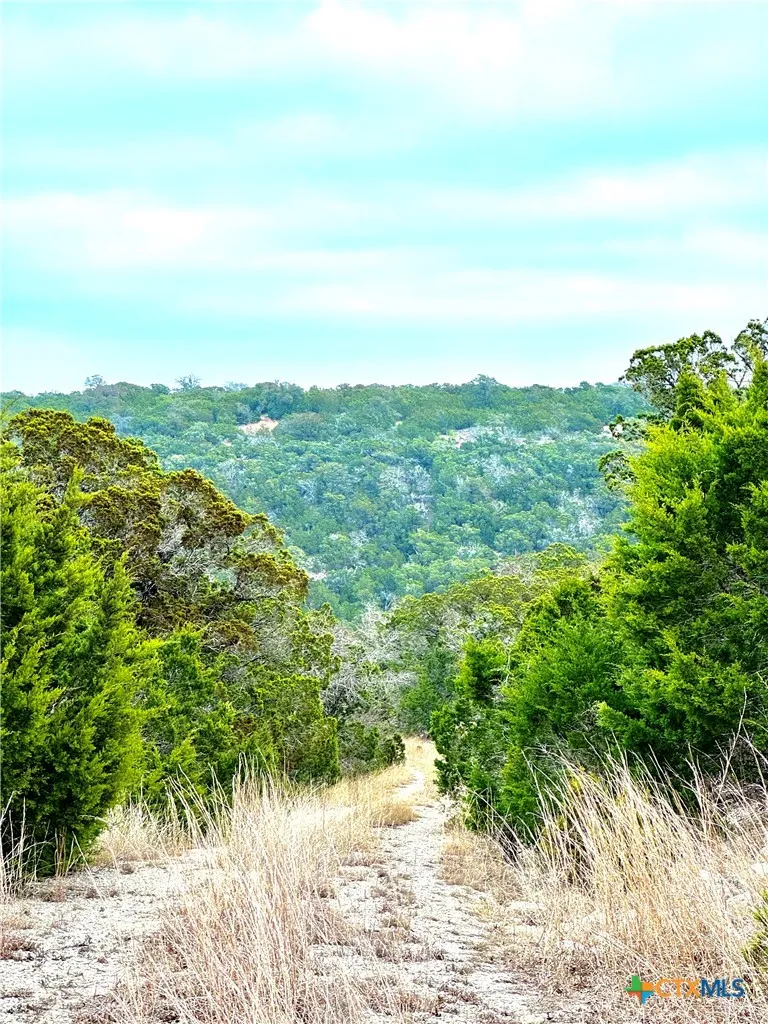 424 Armadillo Trail Drive Centerpoint, TX 78013