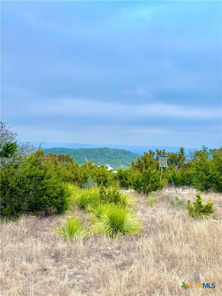 424 Armadillo Trail Drive Centerpoint, TX 78013
